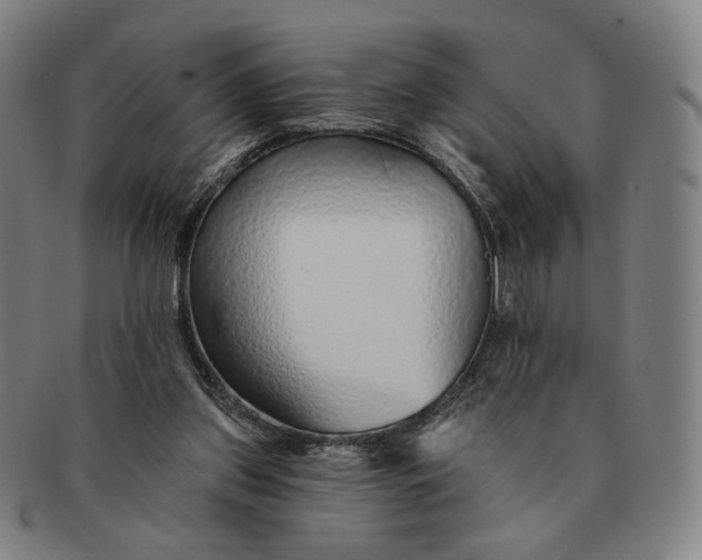 X0000091230157200708301524