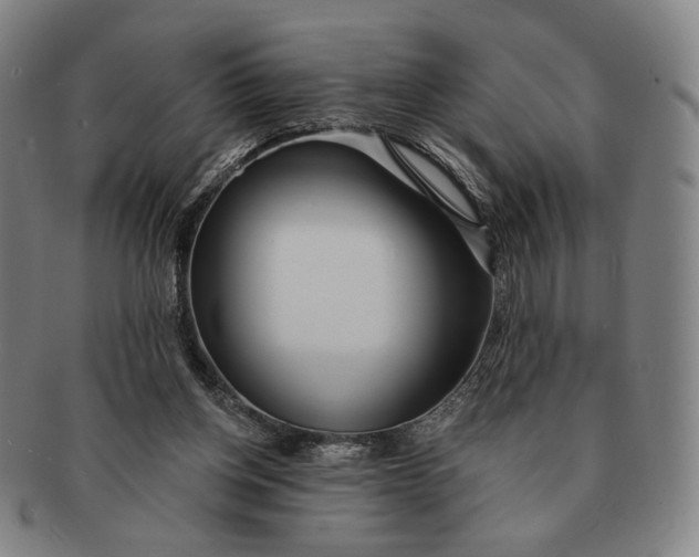 X0000091230158200708301524