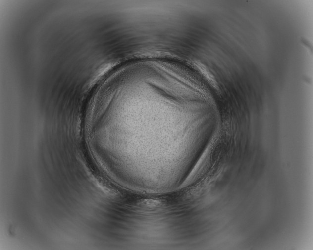 X0000091230159200708301524