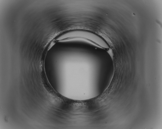 X0000091230160200708301524