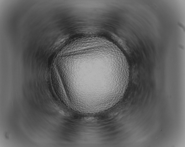 X0000091230161200708301524