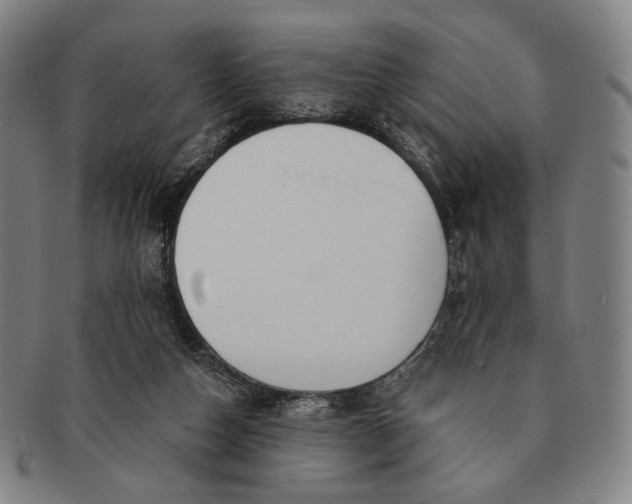 X0000091230162200708301524