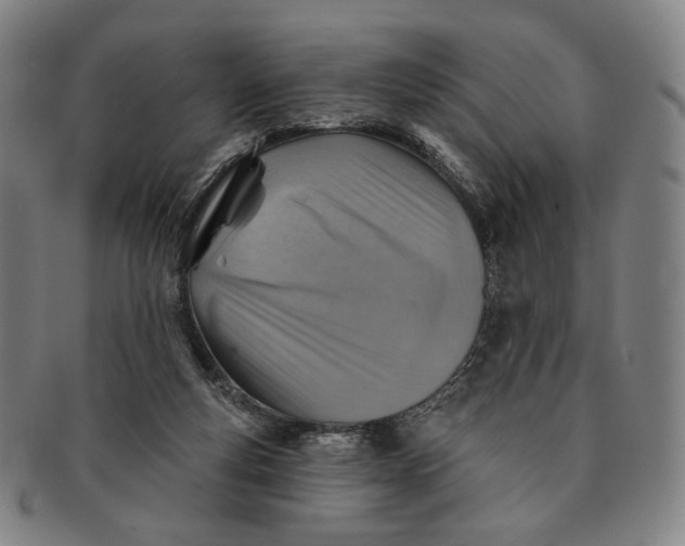 X0000091230163200708301524