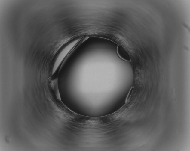 X0000091230164200708301524