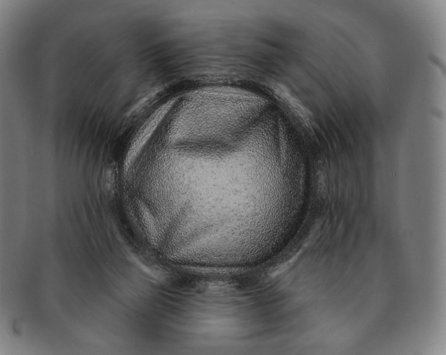 X0000091230165200708301524