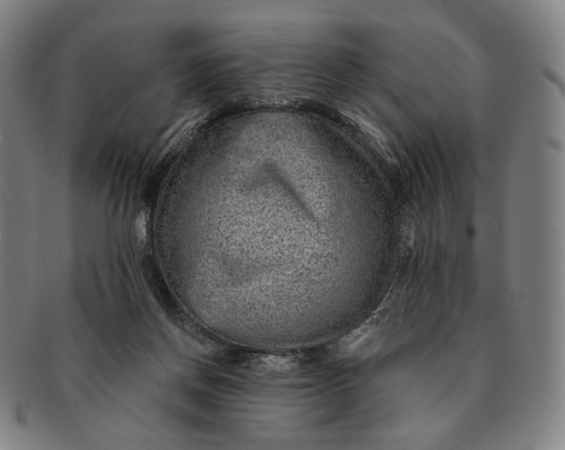 X0000091230166200708301524