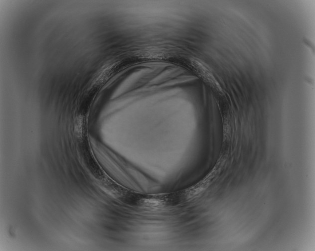 X0000091230167200708301524