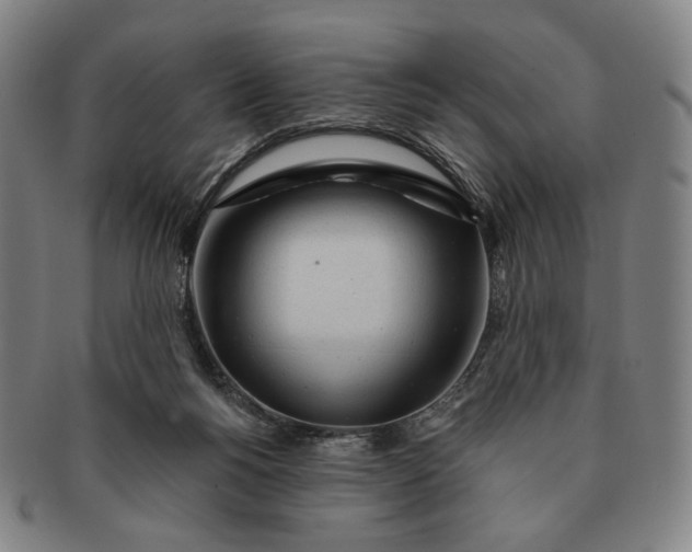 X0000091230168200708301524
