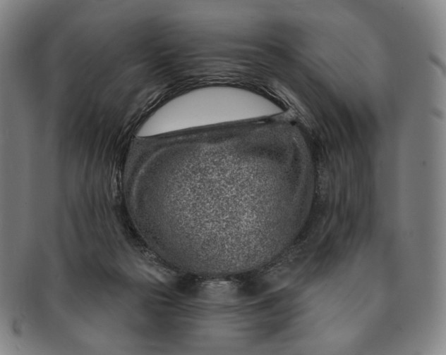 X0000091230169200708301524