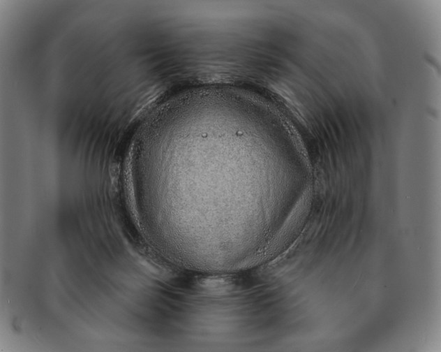 X0000091230171200708301524