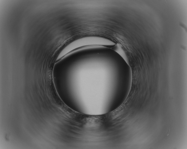 X0000091230172200708301524