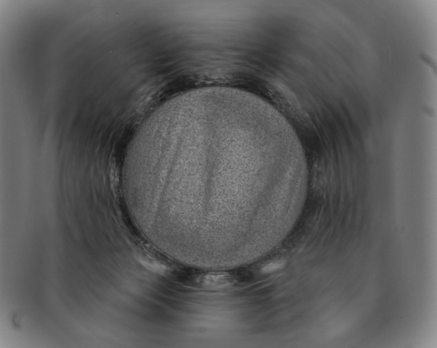 X0000091230173200708301524