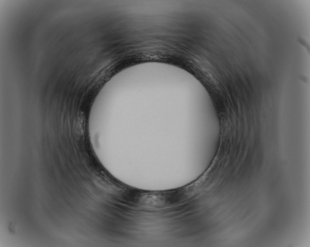 X0000091230174200708301524