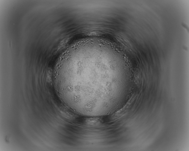 X0000091230175200708301524