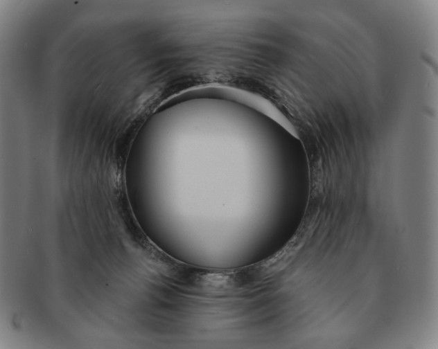 X0000091230176200708301524