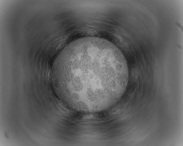 X0000091230177200708301524
