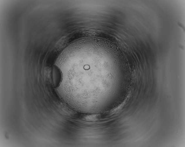 X0000091230178200708301524