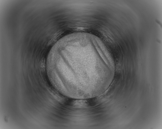 X0000091230179200708301524
