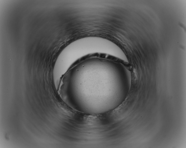 X0000091230180200708301524