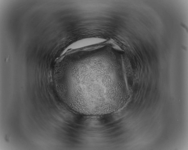 X0000091230182200708301524