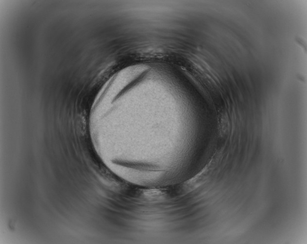 X0000091230183200708301524