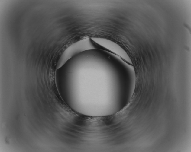 X0000091230186200708301524