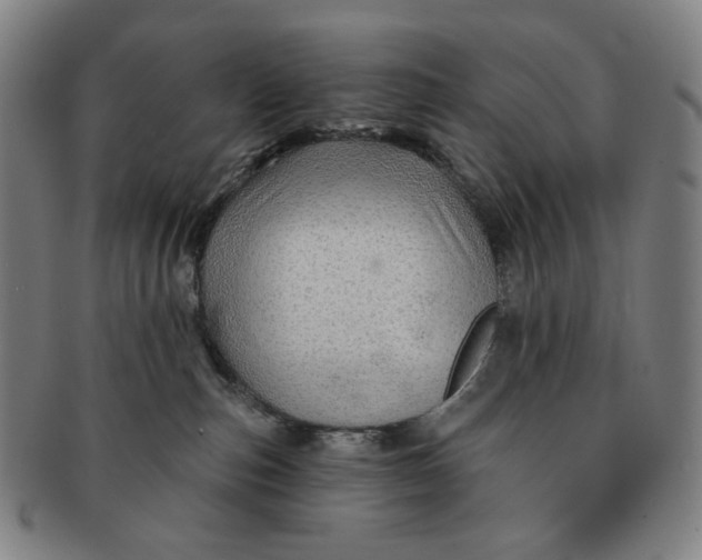 X0000091230187200708301524