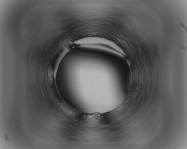 X0000091230188200708301524