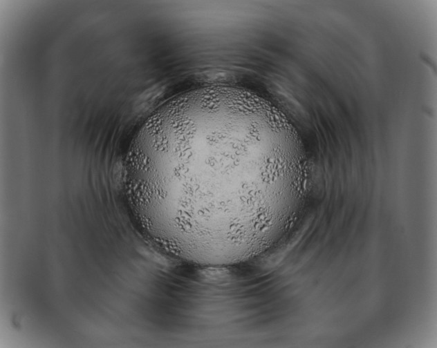 X0000091230189200708301524