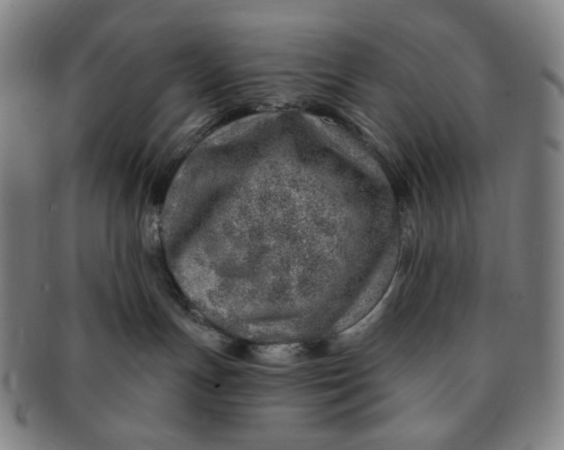 X0000091230191200708301524