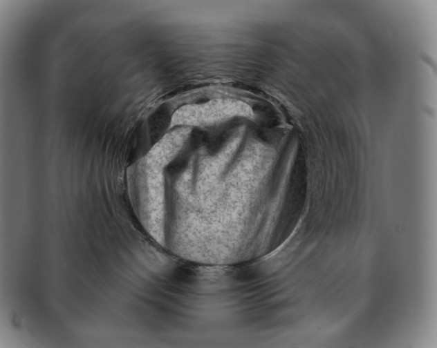 X0000091230192200708301524