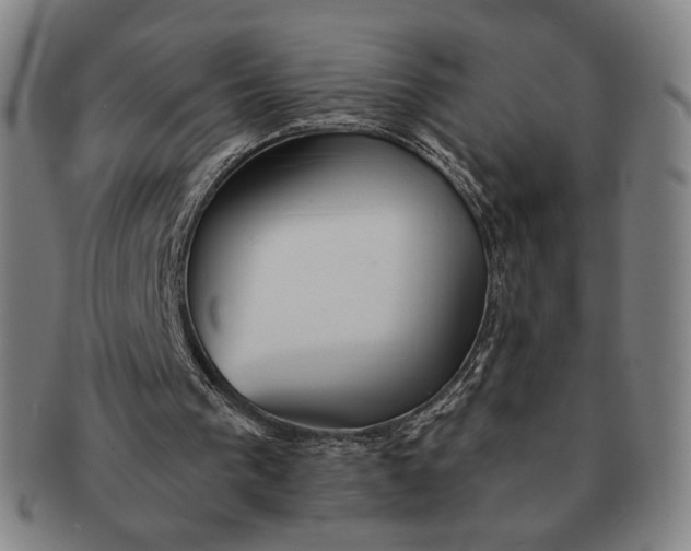X0000091230193200708301524