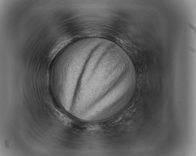 X0000091230194200708301524