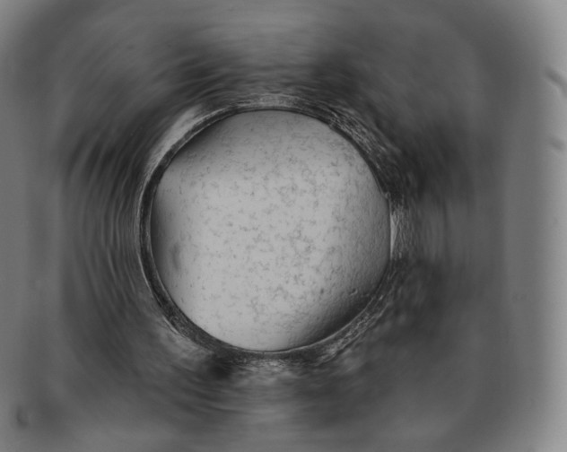 X0000091230195200708301524