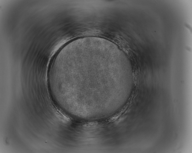 X0000091230196200708301524
