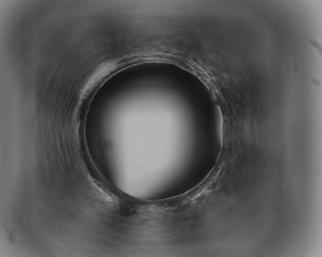 X0000091230197200708301524