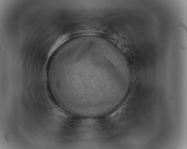 X0000091230198200708301524