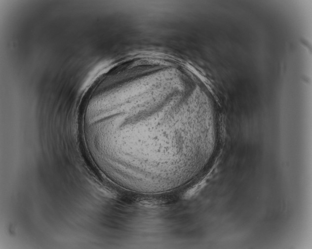 X0000091230199200708301523
