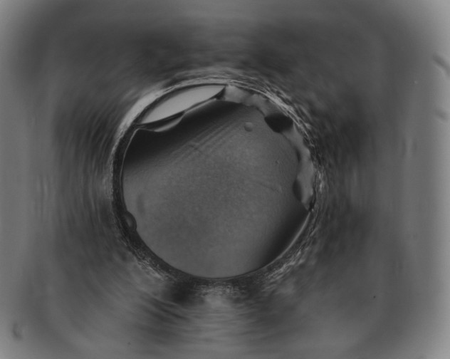 X0000091230200200708301523