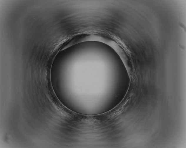 X0000091230201200708301523