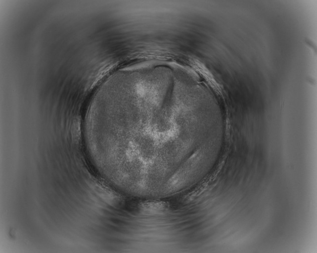 X0000091230202200708301523