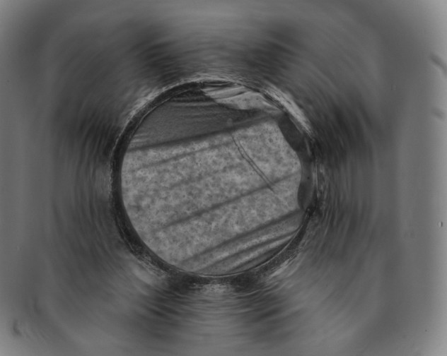X0000091230204200708301523