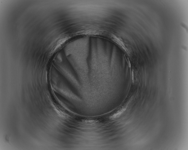 X0000091230205200708301523
