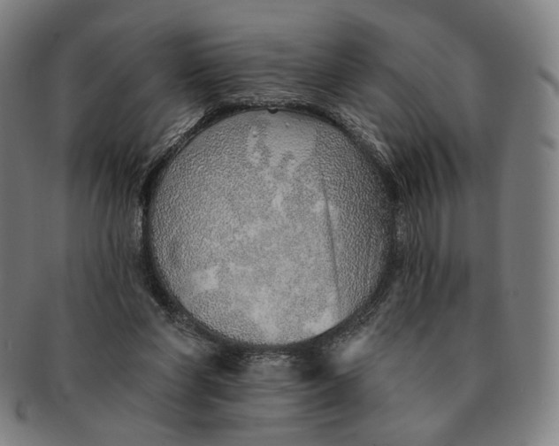 X0000091230206200708301523