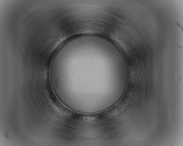 X0000091230208200708301523