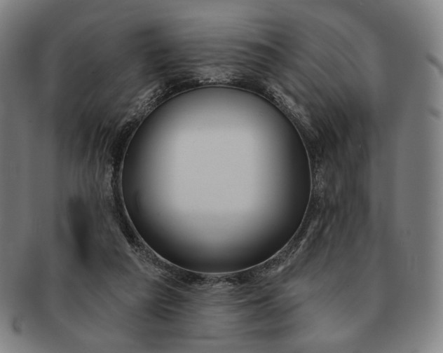 X0000091230209200708301523