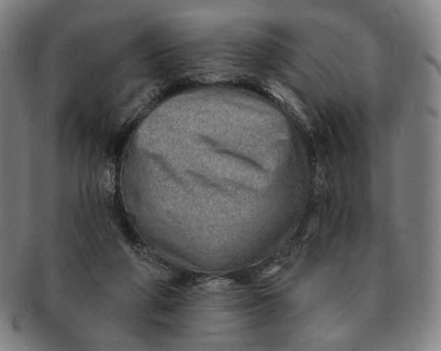 X0000091230210200708301523