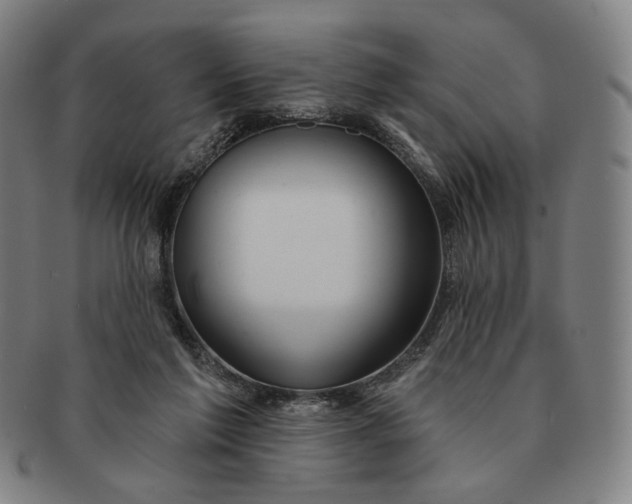 X0000091230213200708301523