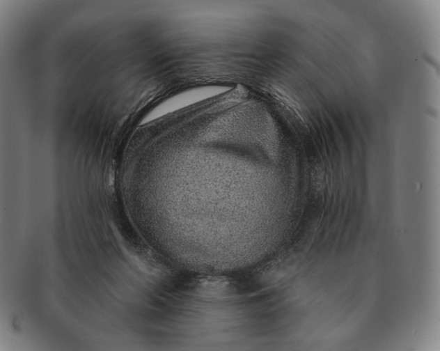 X0000091230214200708301523