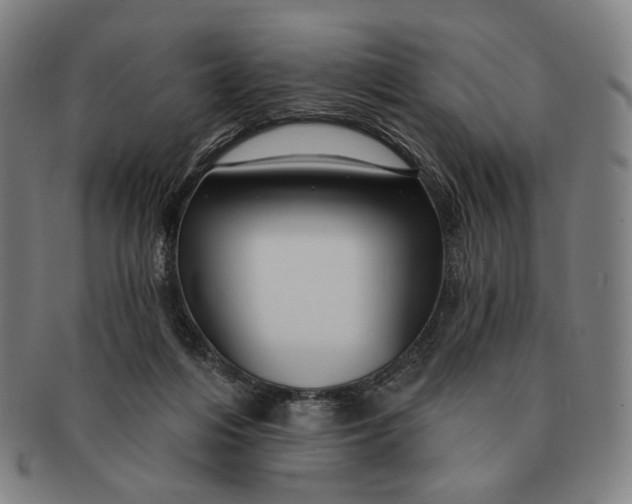 X0000091230216200708301523